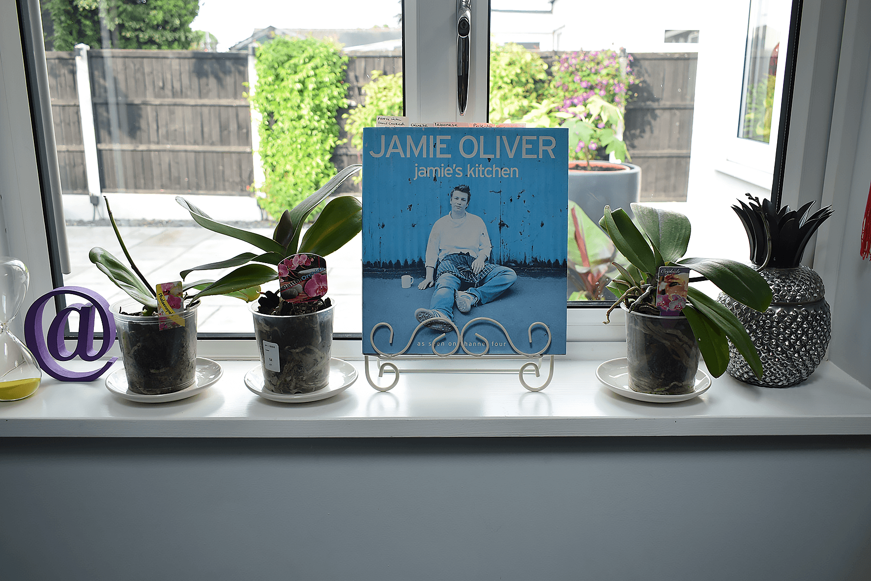 Orchids in west facing window Caradise