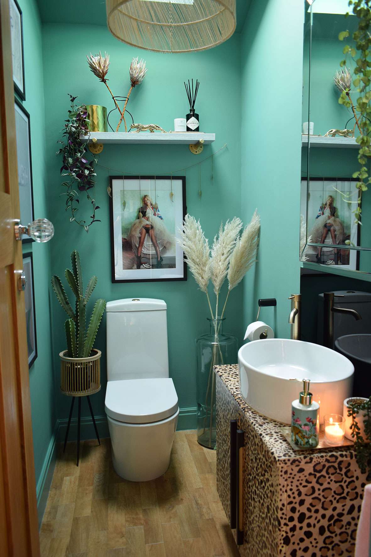 DownstairsToilet Caradise